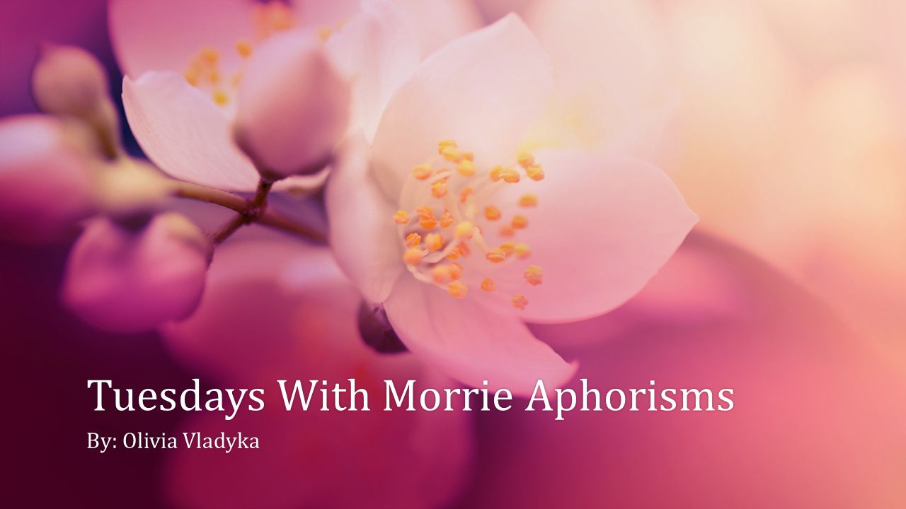 From Tuesdays With Morrie, is it possible to list all of the aphorisms in the book?